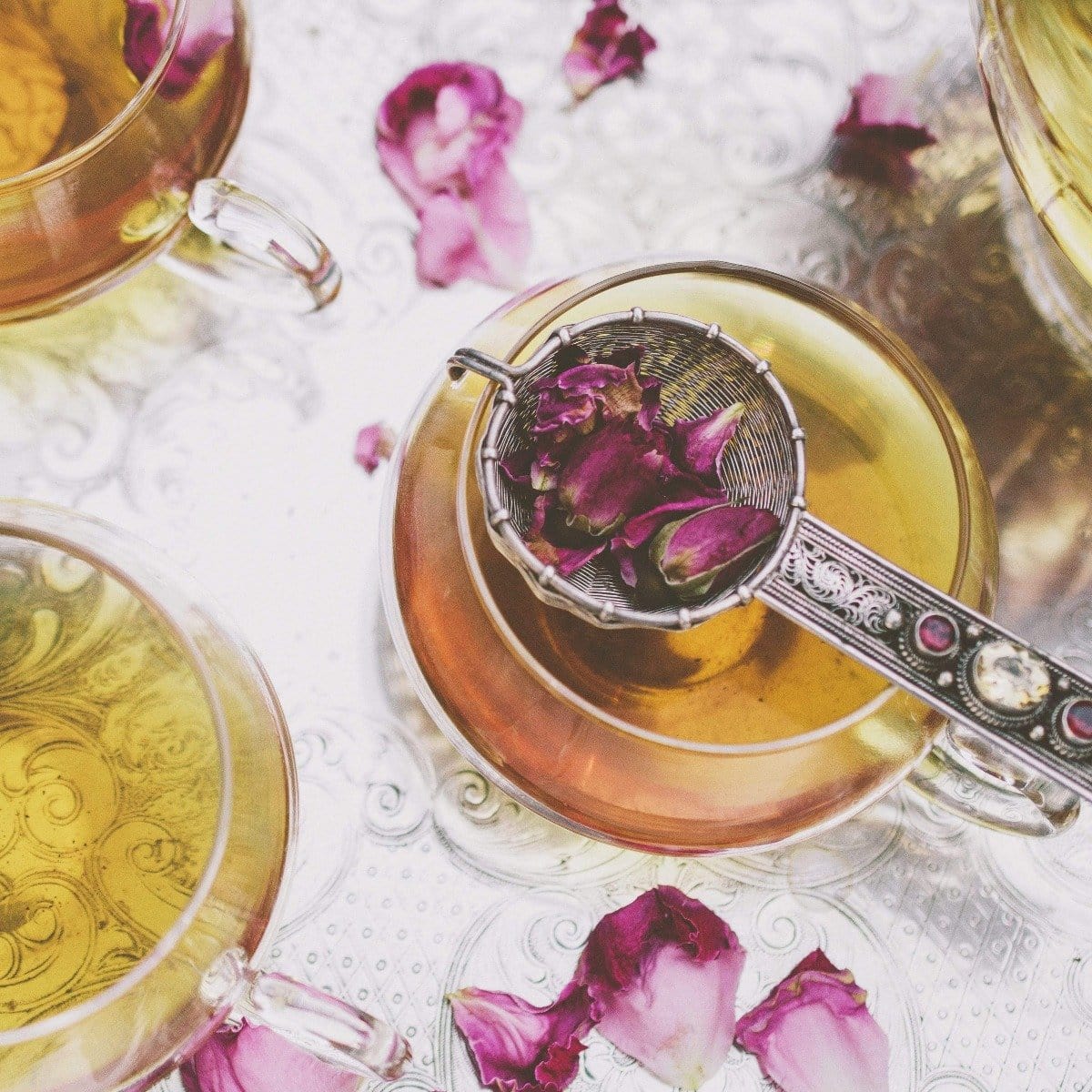 Gypsy Rose Black Tea - Image 4