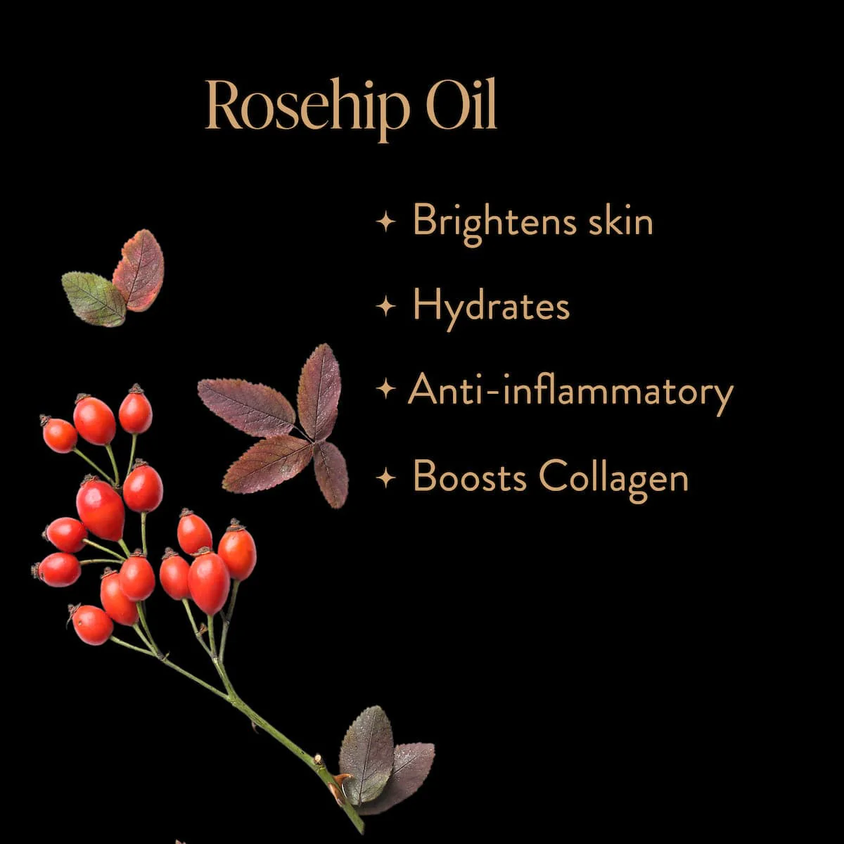 Skinprayer Botanical Beautea Oil for Face, Neck, Decollete - Image 6