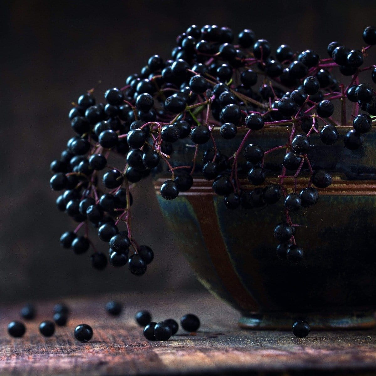 Symbeeosis: Beautifying Immunitea for the Queen Bee - Image 8